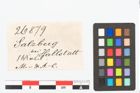 Etikett zu Spinnwirtel (NHMW-PRAE-026879)